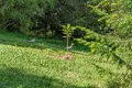Property photo of 69 Maskell Court Draper QLD 4520