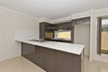 Property photo of 6 Mannikin Street Griffin QLD 4503