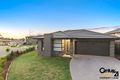Property photo of 23 Feathertop Avenue Minto NSW 2566