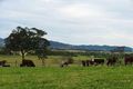 Property photo of 218 Bucketts Road Gloucester NSW 2422
