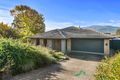 Property photo of 156 Kiewa Valley Highway Tawonga South VIC 3698