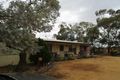 Property photo of 319 Caddy Road Loveday SA 5345