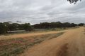 Property photo of 319 Caddy Road Loveday SA 5345