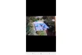 Property photo of 50-52 Forestry Road Bluewater QLD 4818