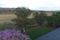 Property photo of 24 Towarri Street Scone NSW 2337