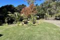 Property photo of 1426 River Road Lower Portland NSW 2756