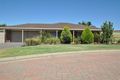 Property photo of 31 Baltimore Avenue Morphett Vale SA 5162