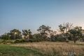 Property photo of 15 Junee Street Crace ACT 2911