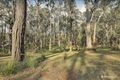 Property photo of 105 Warwick Road Gembrook VIC 3783