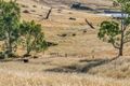 Property photo of 127 Chapman Road Inglewood SA 5133