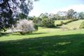 Property photo of 77 Ironcliffe Road Penguin TAS 7316