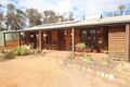 Property photo of 119 Newitts Lane Bealiba VIC 3475