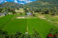 Property photo of 445 Back Kootingal Road Nemingha NSW 2340