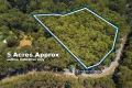 Property photo of 2780 Gembrook-Launching Place Road Gembrook VIC 3783