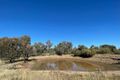 Property photo of 623 Cookamidgera Road Parkes NSW 2870