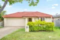 Property photo of 21 Ellen Circuit Springfield Lakes QLD 4300