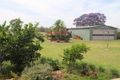 Property photo of 16 Nardoo Street Millmerran QLD 4357