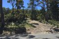 Property photo of 185 White Beach Road White Beach TAS 7184