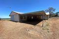 Property photo of 17L Kurrajong Drive Dubbo NSW 2830