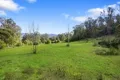 Property photo of 1260 Maroondah Highway Narbethong VIC 3778