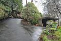 Property photo of 36 Arbor Avenue Belgrave VIC 3160