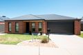 Property photo of 41 Silky Oak Avenue Wodonga VIC 3690