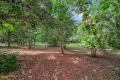Property photo of 117 Tully Gorge Road Tully QLD 4854