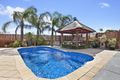 Property photo of 20 Chasselas Avenue Wynn Vale SA 5127