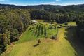 Property photo of 22-40 Hamilton Road West Woombye QLD 4559