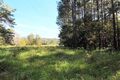 Property photo of 256 Dr Pages Road Cootharaba QLD 4565