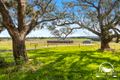 Property photo of 29 Kellys Lane Kilmore VIC 3764