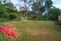 Property photo of 31 Wareham Crescent Frenchs Forest NSW 2086
