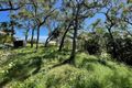 Property photo of 14A Webster Court Agnes Water QLD 4677