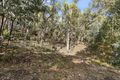 Property photo of 16 Range Road Hepburn Springs VIC 3461