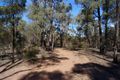 Property photo of 2 Oneil Lane Rushworth VIC 3612