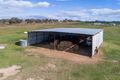 Property photo of 360 Warral Road Warral NSW 2340