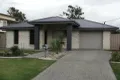 Property photo of 75 Bennett Street Berserker QLD 4701