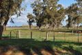 Property photo of 1265 Turnbull Road Toolamba VIC 3614