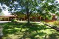 Property photo of 6 Wingeretta Close Forest Grove NSW 2795