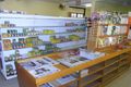 Property photo of 72 Lewis Street Mudgee NSW 2850
