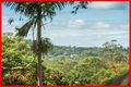 Property photo of 49 Nandala Drive Tanah Merah QLD 4128