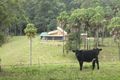 Property photo of 52 Hawks Road Newee Creek NSW 2447