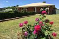 Property photo of 2 Pell Street Howlong NSW 2643