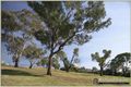Property photo of 9 Bavin Street Curtin ACT 2605