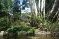 Property photo of 412 Shiptons Flat Road Rossville QLD 4895