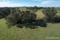 Property photo of 175 Landrigan Road Carisbrook VIC 3464