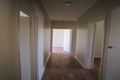 Property photo of 38 Mavros Road Elizabeth Downs SA 5113
