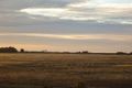 Property photo of 23 Seagull Grove Point Cook VIC 3030