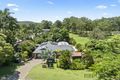 Property photo of 1 Yoolantie Crescent Nerang QLD 4211