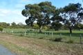 Property photo of 355 Sandy Points Road Bridport TAS 7262